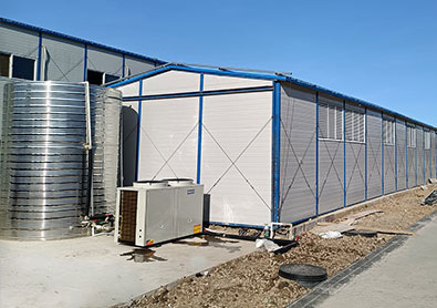 Image-1